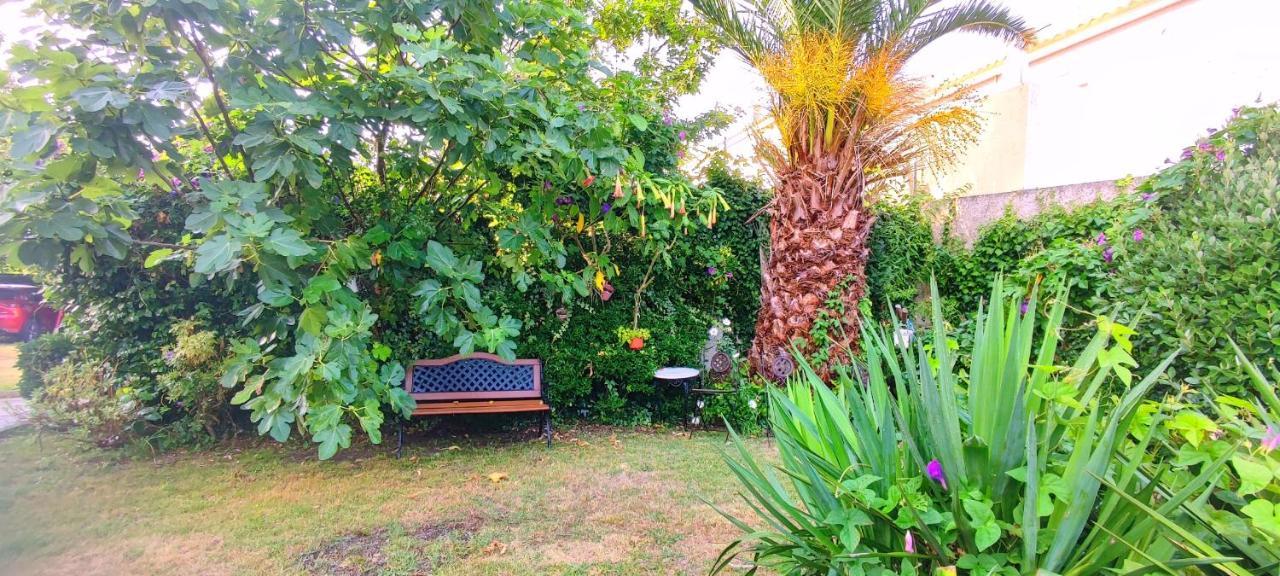 Pisos Vistalegre 2A Con Jardin Tranquilos Cerca Del Mar Sanxenxo Buitenkant foto